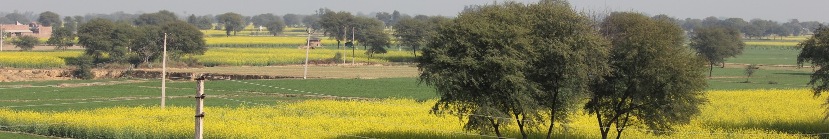 “तुम पगड़ी बांधे फिरते हो और वहां शाहदरा के झाऊओं में तुम्हारे पिता की पगड़ी उल्टी पड़ी है!” – महारानी किशोरी देवी